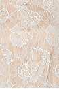 view 4 of 4 Aino Lace Dress in Ice Blue