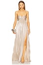 view 1 of 5 Zoa Dress in Champagne