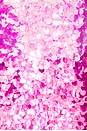 view 4 of 4 Eleanora Sequin Dress in Camellia Ombre