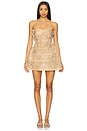 view 1 of 4 Katarina Dress in Nude & Gold