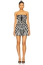 view 1 of 3 Manon Dress in Zebra