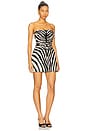 view 2 of 3 Manon Dress in Zebra