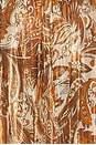 view 4 of 4 Kimmy Dress in Terracotta Paisley