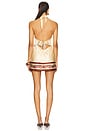 view 3 of 3 Adelaide Dress in Terracotta Bandana