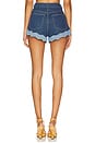 view 4 of 6 Ritzi Denim Short in Montana Mix
