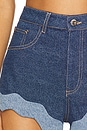 view 6 of 6 Ritzi Denim Short in Montana Mix