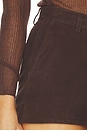 view 6 of 6 Naya Short in Tobacco