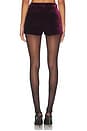 view 4 of 6 Madaline Velvet Short in Port