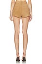 view 4 of 6 Reyes Suede Short in Caramel