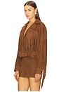 view 4 of 6 Vonda Suede Jacket in Toffee