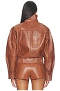 view 5 of 5 BLOUSON LYKKE  in Cigar