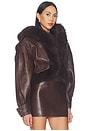 view 4 of 5 Jia Leather Jacket in Mahogany