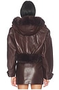 view 5 of 5 Jia Leather Jacket in Mahogany