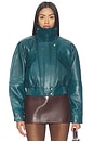 view 2 of 5 Lykke Leather Jacket in Sarcelle