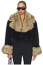 view 1 of 5 Beso Jacket in Black & Bourbon