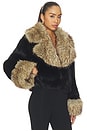 view 4 of 5 Beso Jacket in Black & Bourbon