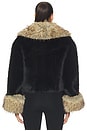 view 5 of 5 Beso Jacket in Black & Bourbon