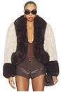 view 2 of 5 Lirrio Jacket in Chai & Mahogany