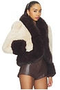 view 4 of 5 Lirrio Jacket in Chai & Mahogany