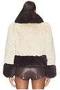 view 5 of 5 Lirrio Jacket in Chai & Mahogany
