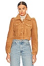 view 2 of 5 Brie Jacket in Teddy