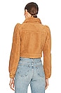 view 4 of 5 Brie Jacket in Teddy