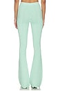 view 4 of 6 PANTALÓN JOLIET in Metallic Mint