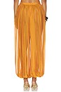view 4 of 6 Evolet Chiffon Pant in Iridescent Arianzo