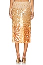 view 4 of 6 FALDA NELLIE in Light Champagne & Brown