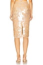 view 4 of 6 Riley Sequin Skirt in Honey Beige