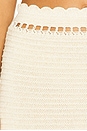 view 6 of 6 Magdalena Crochet Skirt in Ivory & Gold