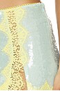 view 6 of 6 FALDA MORGEN in Yuzu Lace & Mint Body