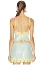 view 3 of 4 Mik Top in Yuzu Lace & Mint Body