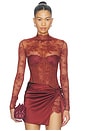 view 1 of 6 BODY VALENTINA  in Cigar