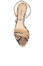 view 5 of 5 Naomi Sandal in Python Print