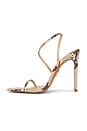 view 6 of 5 Naomi Sandal in Python Print