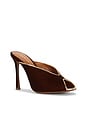 view 2 of 5 Ava Mule in Camel