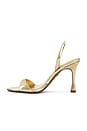 view 5 of 5 SANDALIA FORTUNE in Light Gold