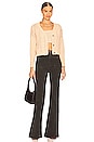 view 4 of 4 X Phoebe Tonkin Dusters Bootcut Cord in Espresso