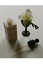 view 5 of 8 Active Recovery Broth 30ml in 