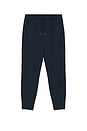 view 4 of 5 Dreamstate Jogger in True Navy