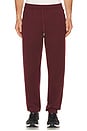 view 1 of 5 Dreamstate Jogger in Bordeaux Red
