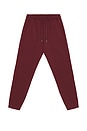 view 5 of 5 Dreamstate Jogger in Bordeaux Red