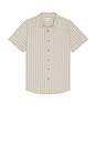 view 4 of 5 CAMISA in Teak Brown Vintage Stripe