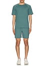 view 4 of 4 Reign Short Sleeve Tee in Tidal Green