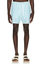 view 1 of 5 SHORT DE BAIN in Belize Blue Wide Stripe