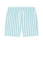 view 4 of 5 SHORT DE BAIN in Belize Blue Wide Stripe