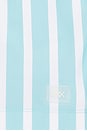 view 5 of 5 SHORT DE BAIN in Belize Blue Wide Stripe