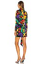 view 3 of 4 Yarden Dress in Multi