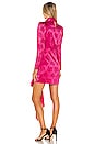 view 3 of 4 Ria Dress in Hot Pink